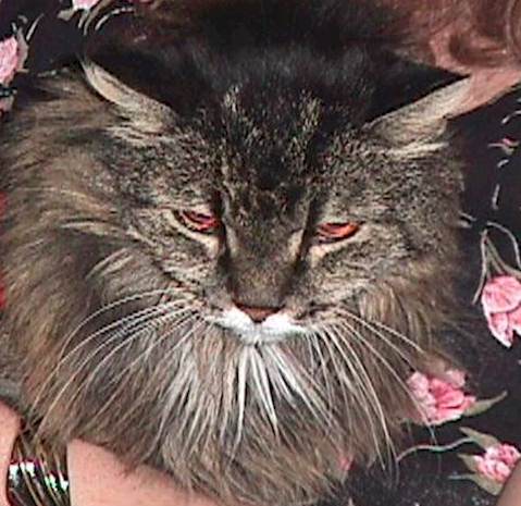 princes6.jpg (49122 bytes)